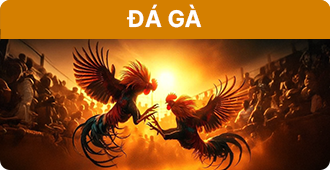 Đá gà SP666