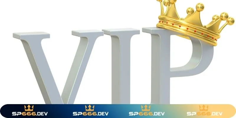 Hệ thống cấp bậc vip user Sp666